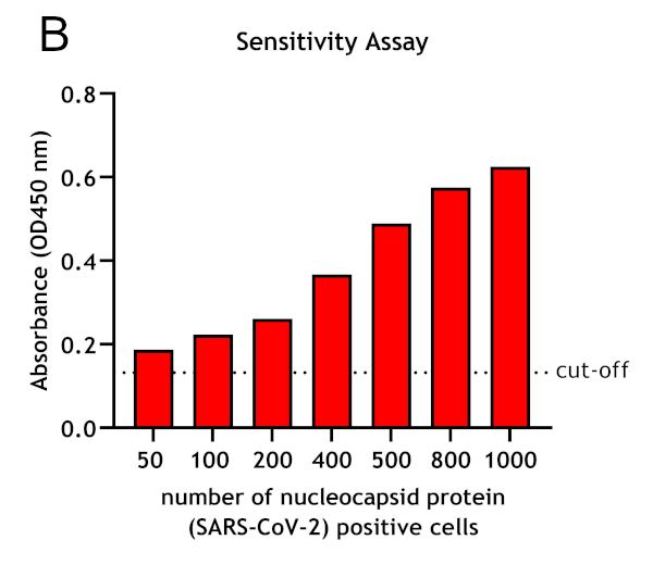 Nucleocapsid CoV-1/2 Monoclonal mouse purified IgG - image 4